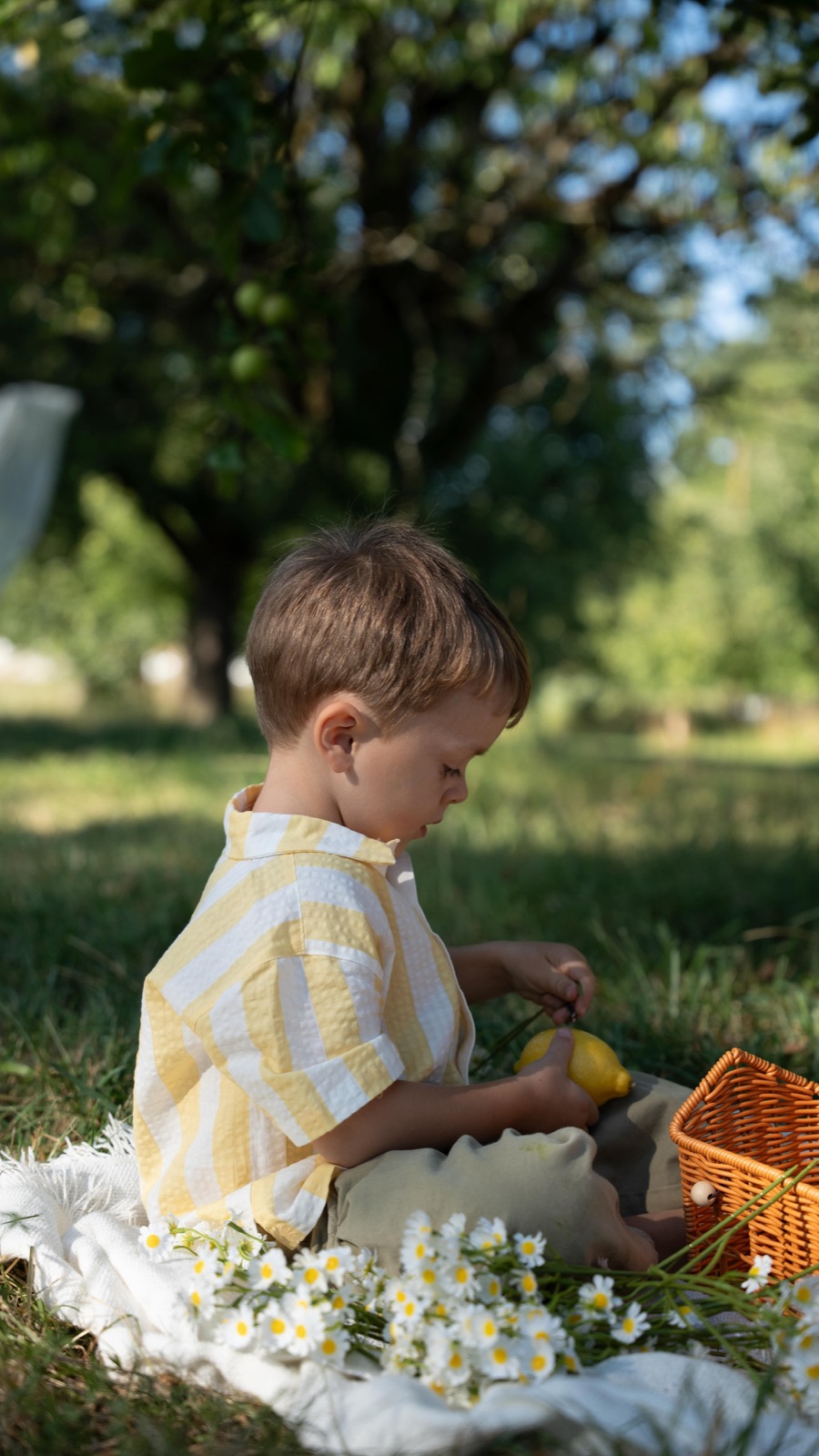 Junge sitzt draussen im Gras neben einem Picknickkorb